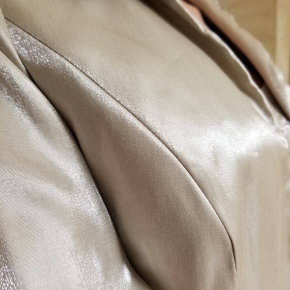 Stunning Mother of Bride Dress - Picture 4 of 8